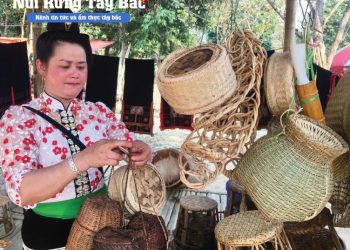 Mây tre đan đồng bào thái